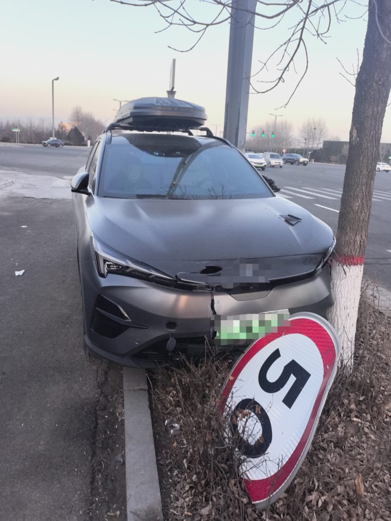 那个撞树的傻蛋，让我又气又疼