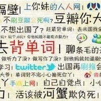 暴躁猫