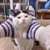 烈焰麒麟