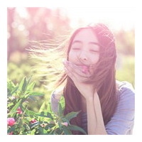 黄昏的过客