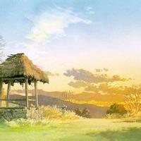 枫糖露
